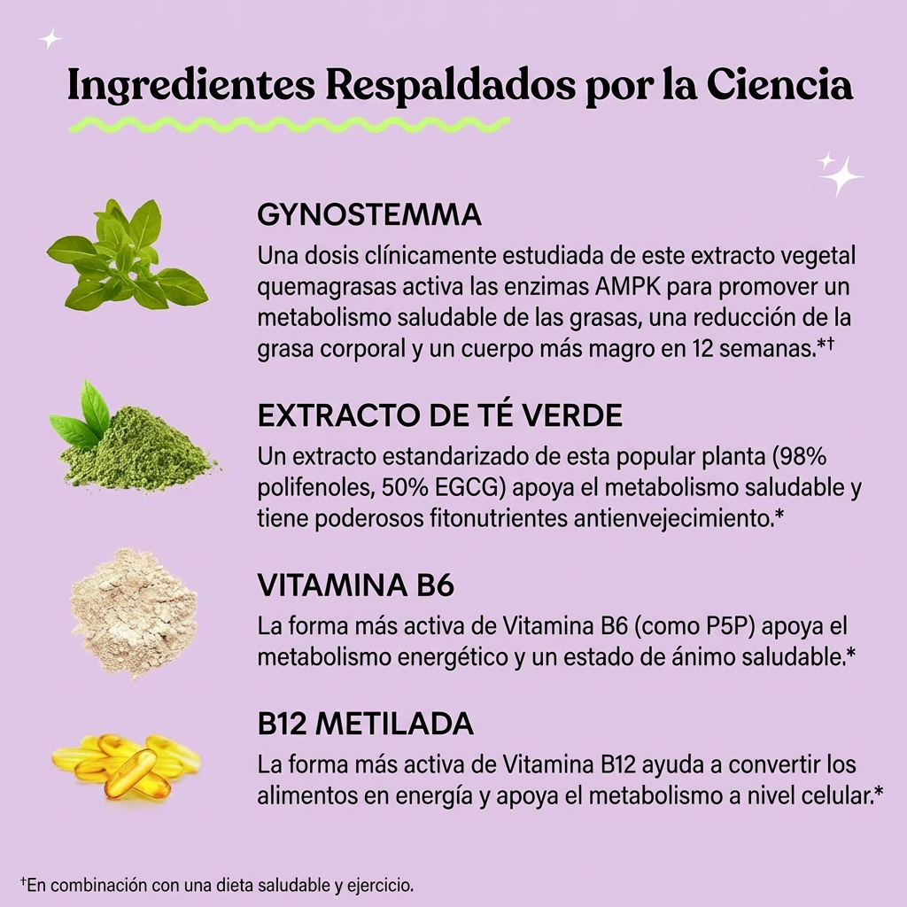 🔥 Lemme Burn | Activa tu Metabolismo y Reduce la Grasa Abdominal
