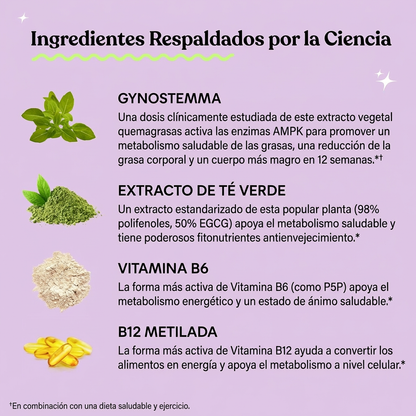 🔥 Lemme Burn | Activa tu Metabolismo y Reduce la Grasa Abdominal